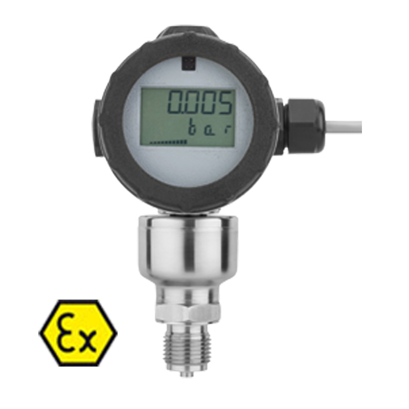 40.3025 - 壓力傳送器 dTRANS p20